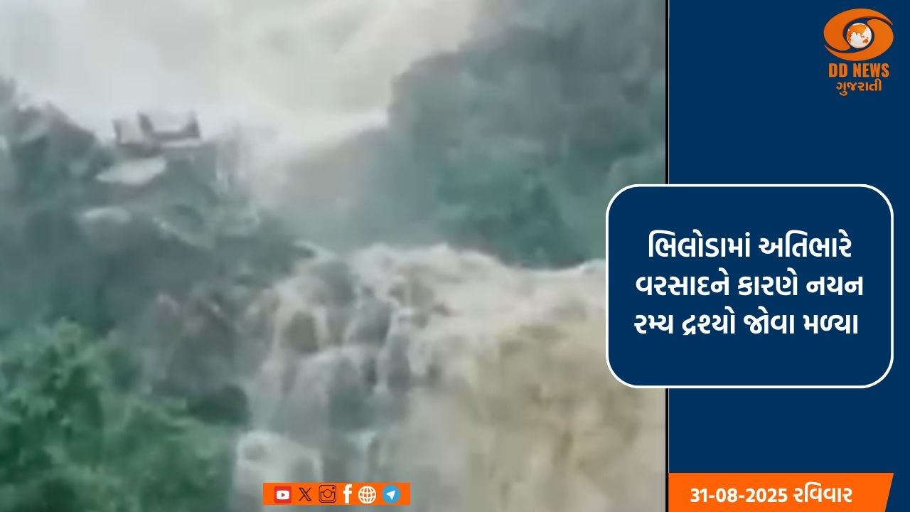 ઉત્તર ગુજરાતનું મીની કાશ્મીર, ભિલોડાનો સુનસર ધોધ ફરી બન્યો જીવંત