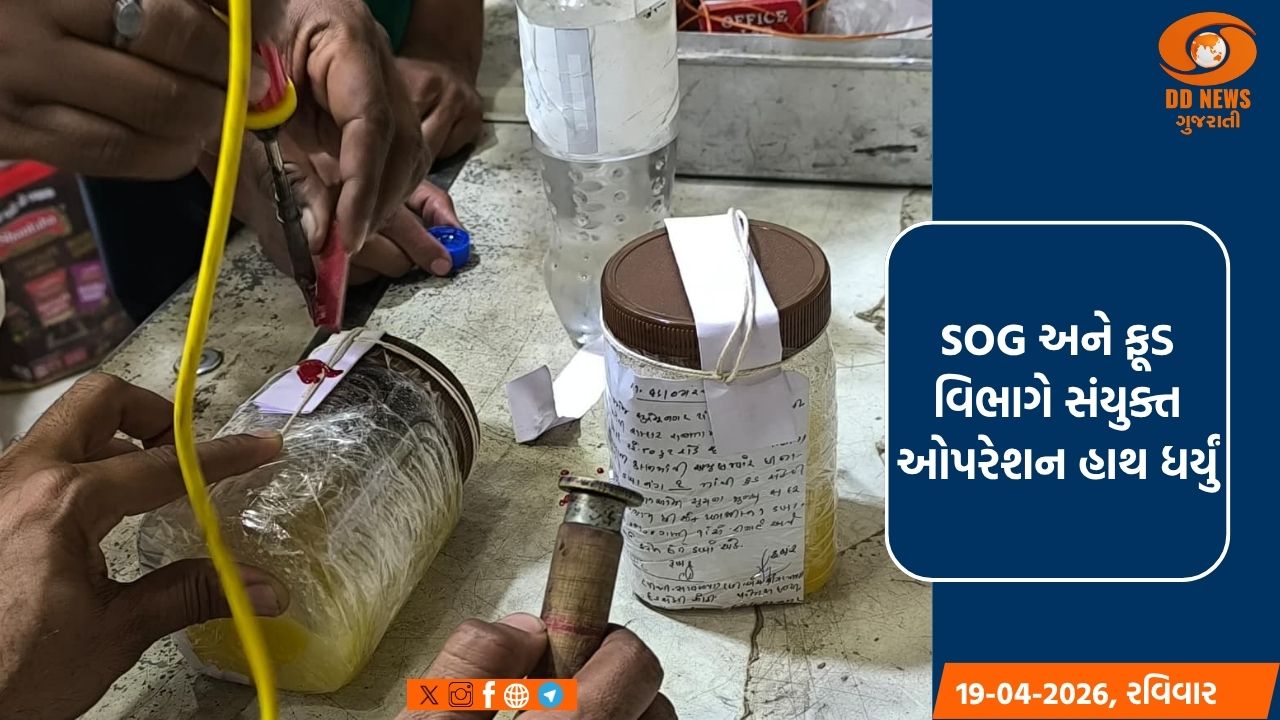 સુરેન્દ્રનગર: રૂપસુંદરી પ્રજાતિનો સૌથી લાંબો સાપ મળી આવતા કરાયો રેસ્ક્યુ 