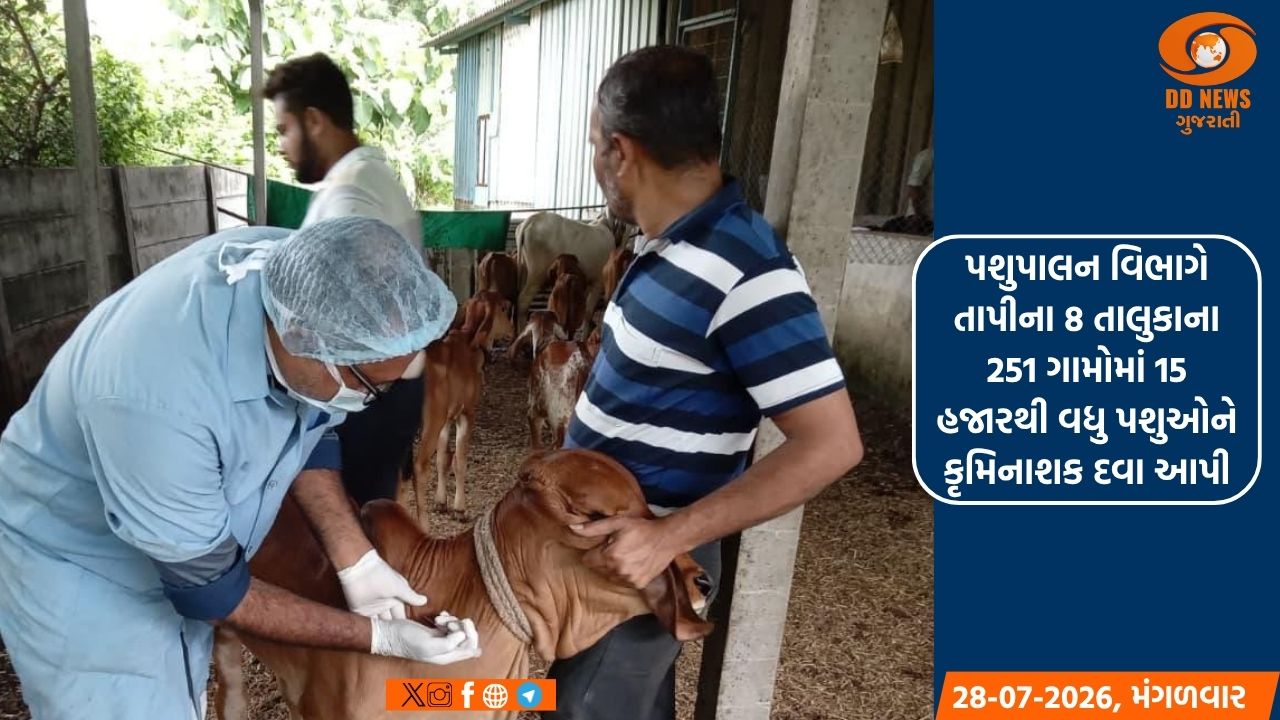 પશુપાલન વિભાગે તાપીના 8 તાલુકાના 251 ગામોમાં 15 હજારથી વધુ પશુઓને કૃમિનાશક દવા આપી