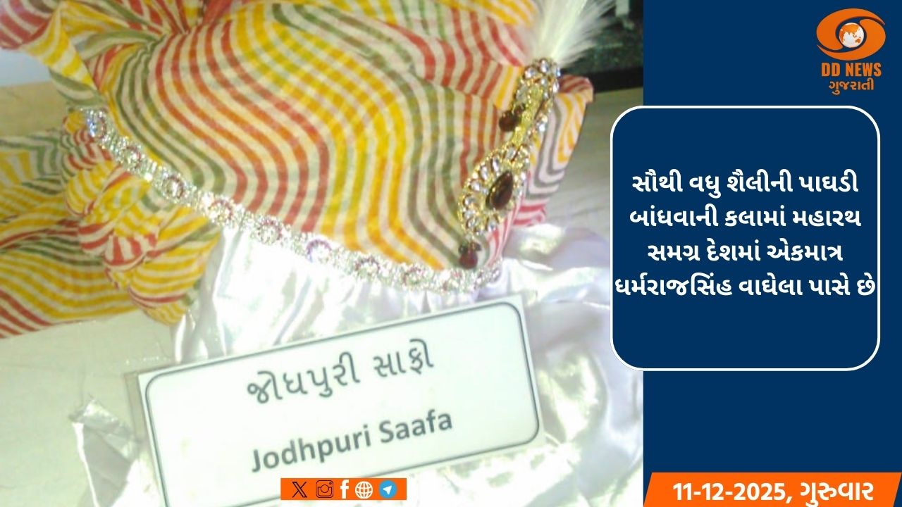 રાજ્ય સરકારના એક અધિકારીને ૩૭૩ પ્રકારની પરંપરાગત પાઘડીઓ બાંધવાનો મહારથ  
