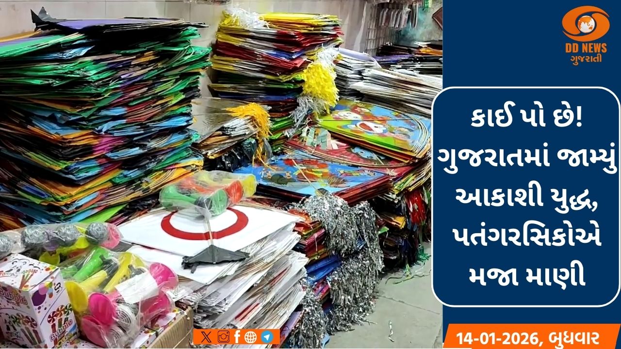 કાઈ પો છે! ગુજરાતમાં જામ્યું આકાશી યુદ્ધ, પતંગરસિકોએ મજા માણી