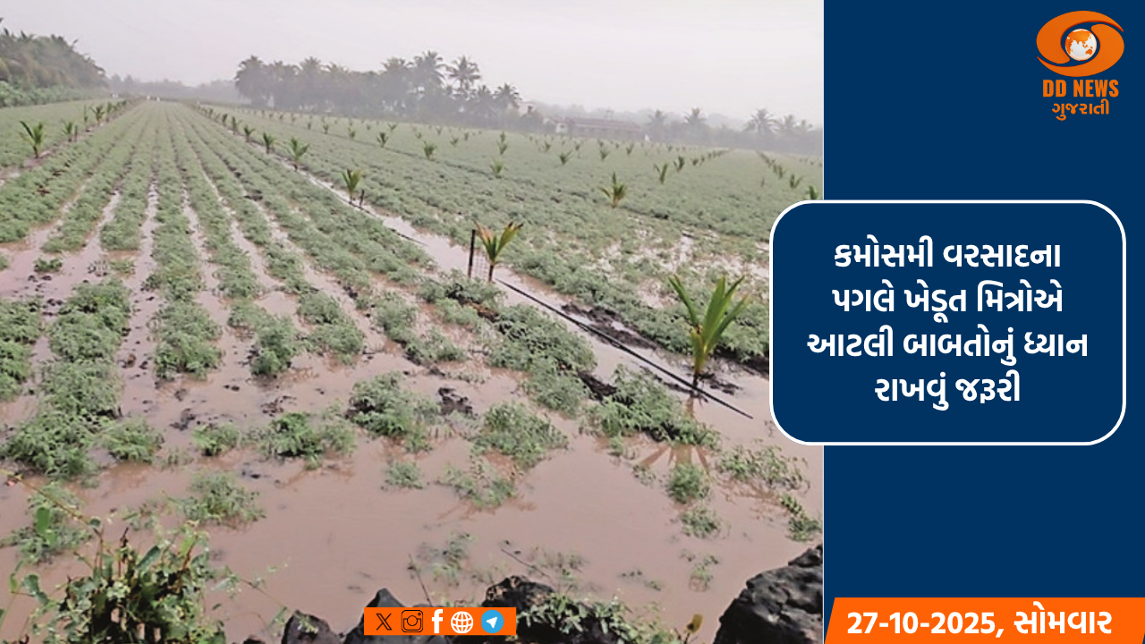 કમોસમી વરસાદના પગલે ખેડૂત મિત્રોએ આટલી બાબતોનું ધ્યાન રાખવું જરૂરી