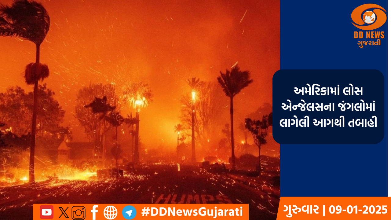 અમેરિકામાં લોસ એન્જેલસના જંગલોમાં લાગેલી આગથી તબાહી