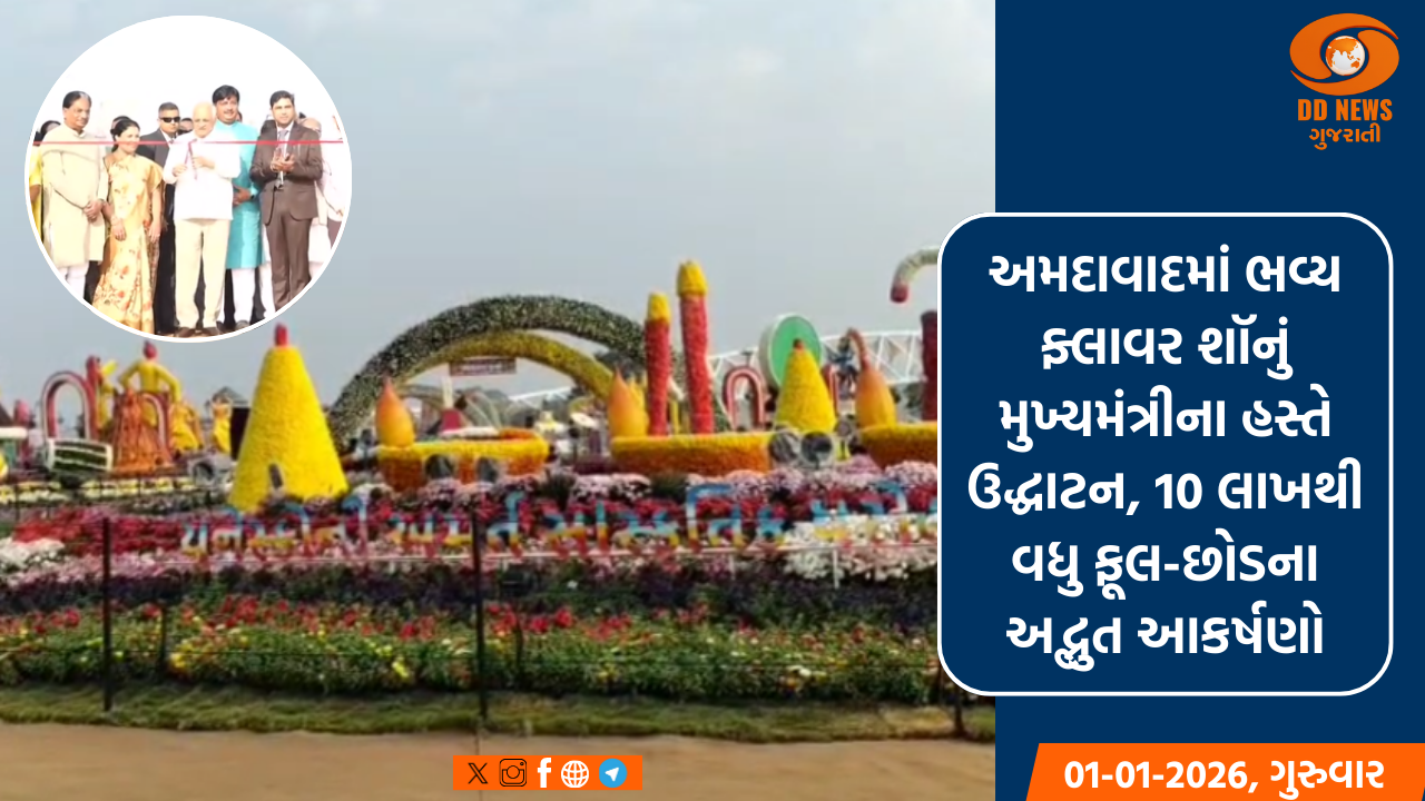 અમદાવાદમાં ભવ્ય ફ્લાવર શૉનું મુખ્યમંત્રીના હસ્તે ઉદ્ધાટન, 10 લાખથી વધુ ફૂલ-છોડના અદ્ભુત આકર્ષણો