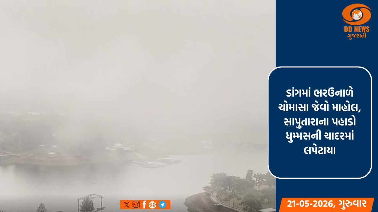 ડાંગમાં ભરઉનાળે ચોમાસા જેવો માહોલ, સાપુતારાના પહાડો ધુમ્મસની ચાદરમાં લપેટાયા