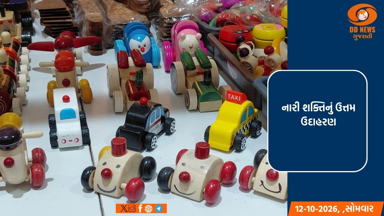 મોરબીના મીનાબેન સખનપરાએ 'સરસ મેળા'માં ટેરાકોટા અને માટીકામની કળાથી જમાવ્યું આકર્ષણ