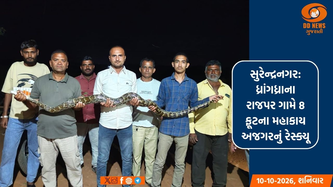સુરેન્દ્રનગર: ધ્રાંગધ્રાના રાજપર ગામે 8 ફૂટના મહાકાય અજગરનું રેસ્ક્યૂ