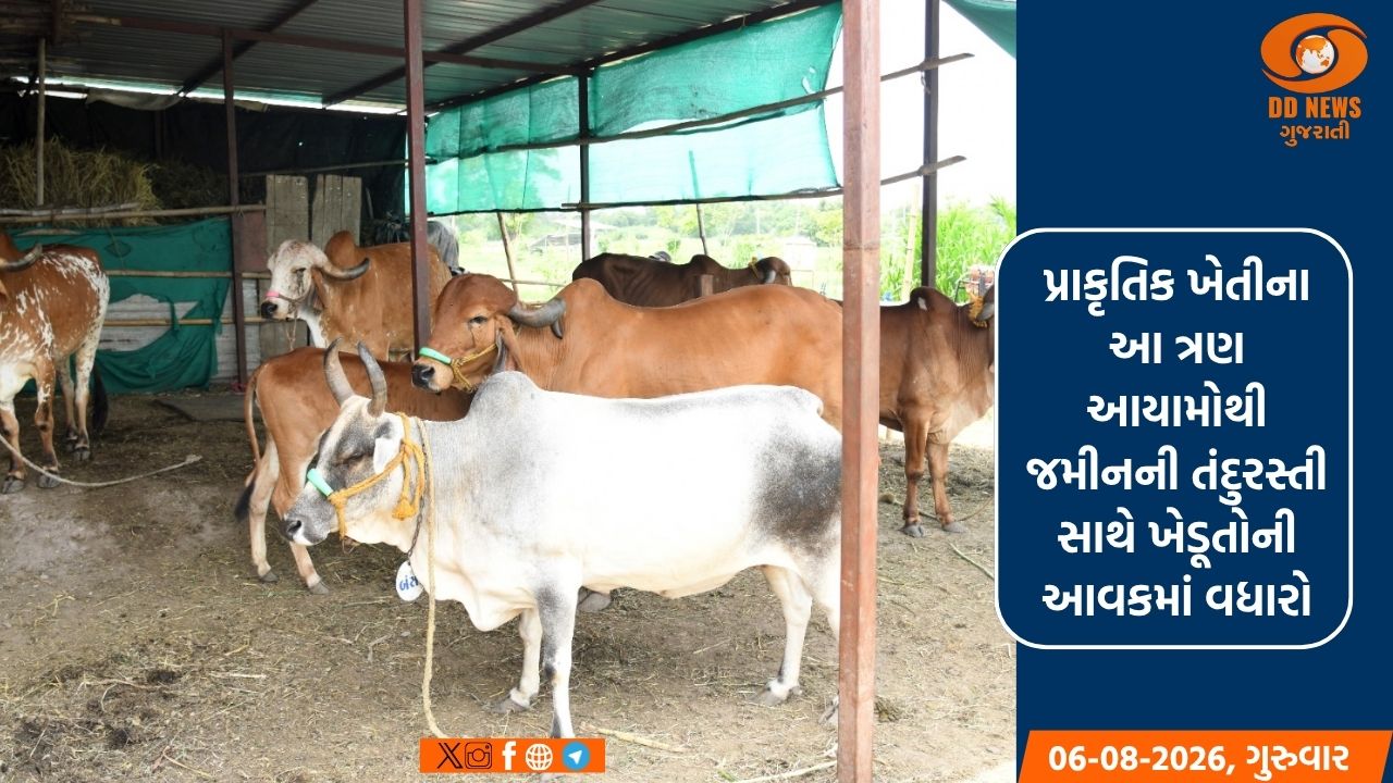 પ્રાકૃતિક બાયો-ઇનપુટ્સ: જીવામૃત, ઘનજીવામૃત અને બીજામૃત ખેતીને બનાવશે સમૃદ્ધ