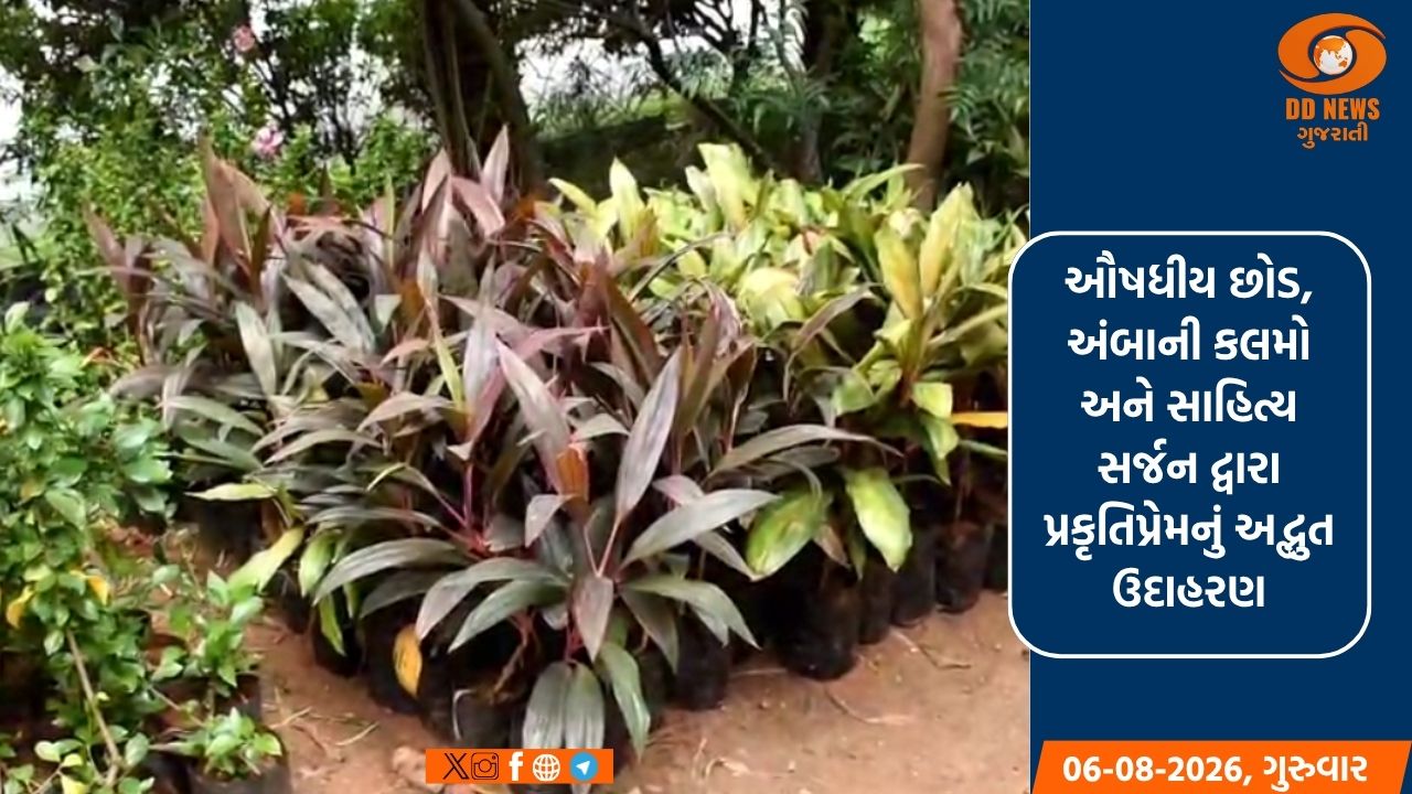 પ્રકૃતિના ખોળે જીવતાં દીર્ઘાયુ અને અનોખી નર્સરીનું સર્જન કરનાર અરવલ્લીના ગૌરવવંતા ડી.પી. અસારી