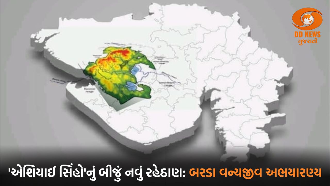 આવતીકાલે 200+ જિલ્લામાં પ્રધાનમંત્રી રાષ્ટ્રીય એપ્રેન્ટિસશિપ મેળાનું આયોજન