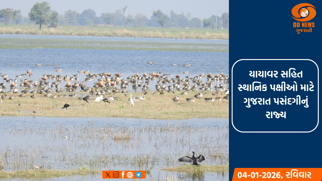 યાયાવર સહિત સ્થાનિક પક્ષીઓ માટે ગુજરાત પસંદગીનું રાજ્ય 