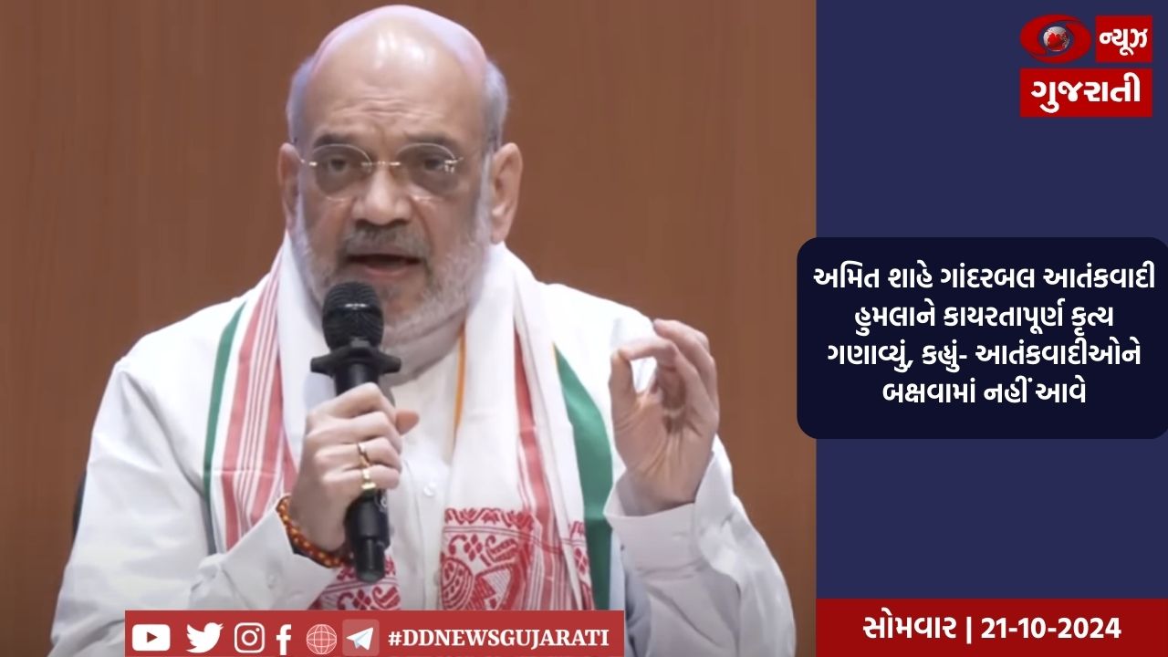 અમિત શાહે ગાંદરબલ આતંકવાદી હુમલાને કાયરતાપૂર્ણ કૃત્ય ગણાવ્યું, કહ્યું- આતંકવાદીઓને બક્ષવામાં નહીં આવે