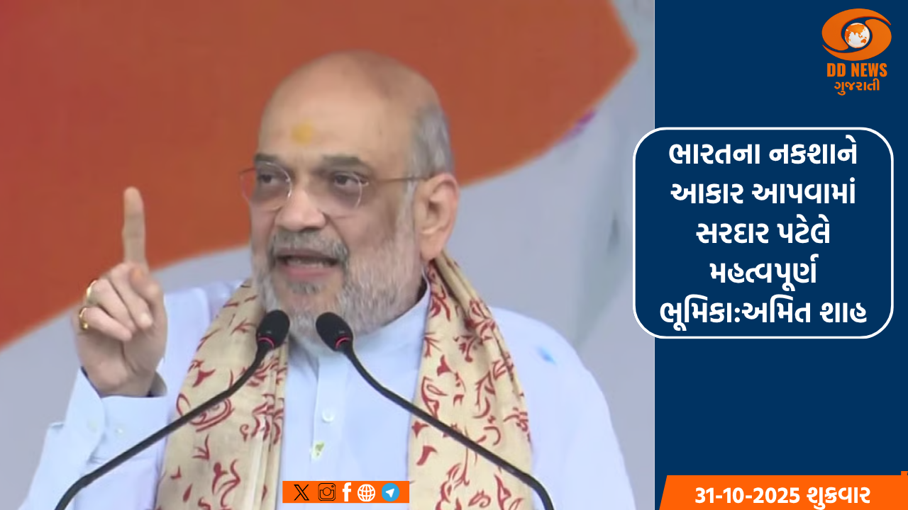 ભારતના નકશાને આકાર આપવામાં સરદાર પટેલે મહત્વપૂર્ણ ભૂમિકા:અમિત શાહ