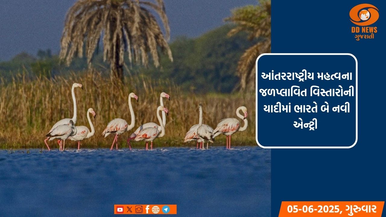 આંતરરાષ્ટ્રીય મહત્વના જળપ્લાવિત વિસ્તારોની યાદીમાં ભારતે બે નવી એન્ટ્રી કરી, રામસર સ્થળોની સંખ્યા વધીને 91 થઈ