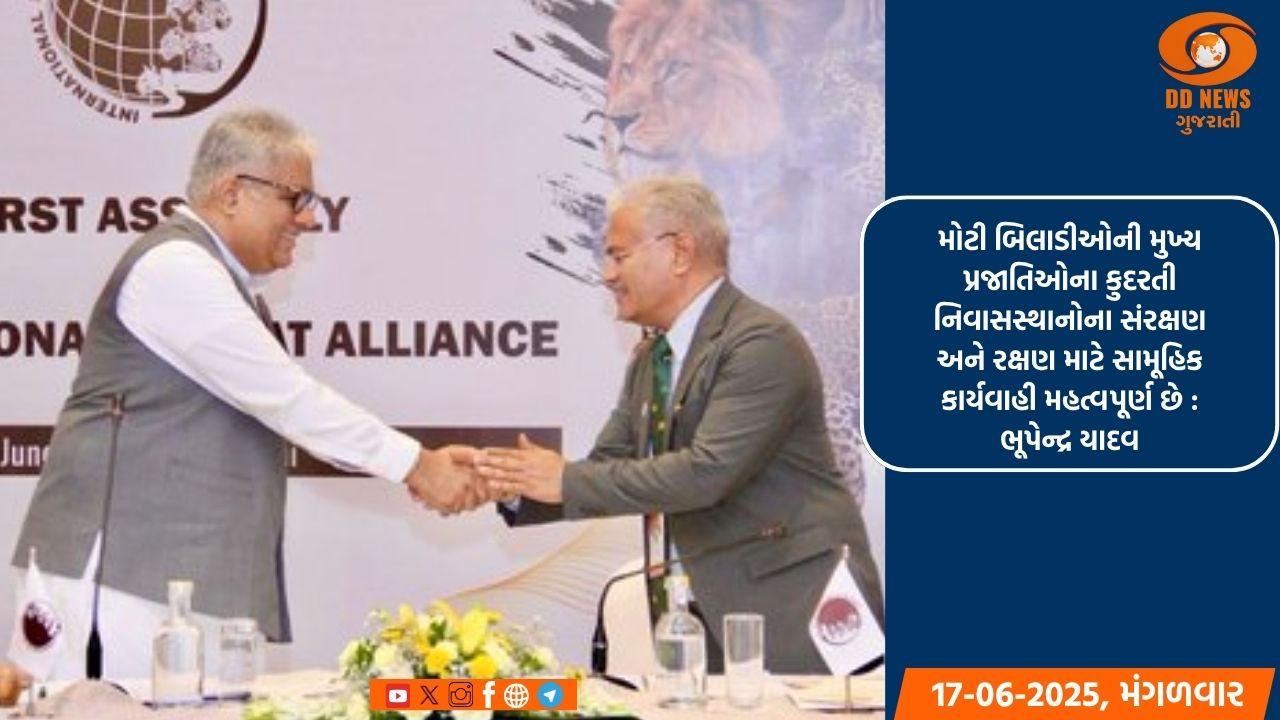 મોટી બિલાડીઓની મુખ્ય પ્રજાતિઓના કુદરતી નિવાસસ્થાનોના સંરક્ષણ અને રક્ષણ માટે સામૂહિક કાર્યવાહી મહત્વપૂર્ણ છે : ભૂપેન્દ્ર યાદવ