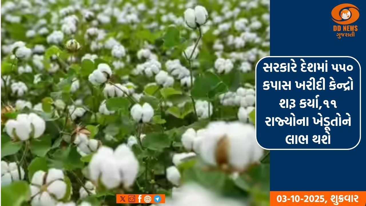 સરકારે દેશમાં ૫૫૦ કપાસ ખરીદી કેન્દ્રો શરૂ કર્યા,૧૧ રાજ્યોના ખેડૂતોને લાભ થશે