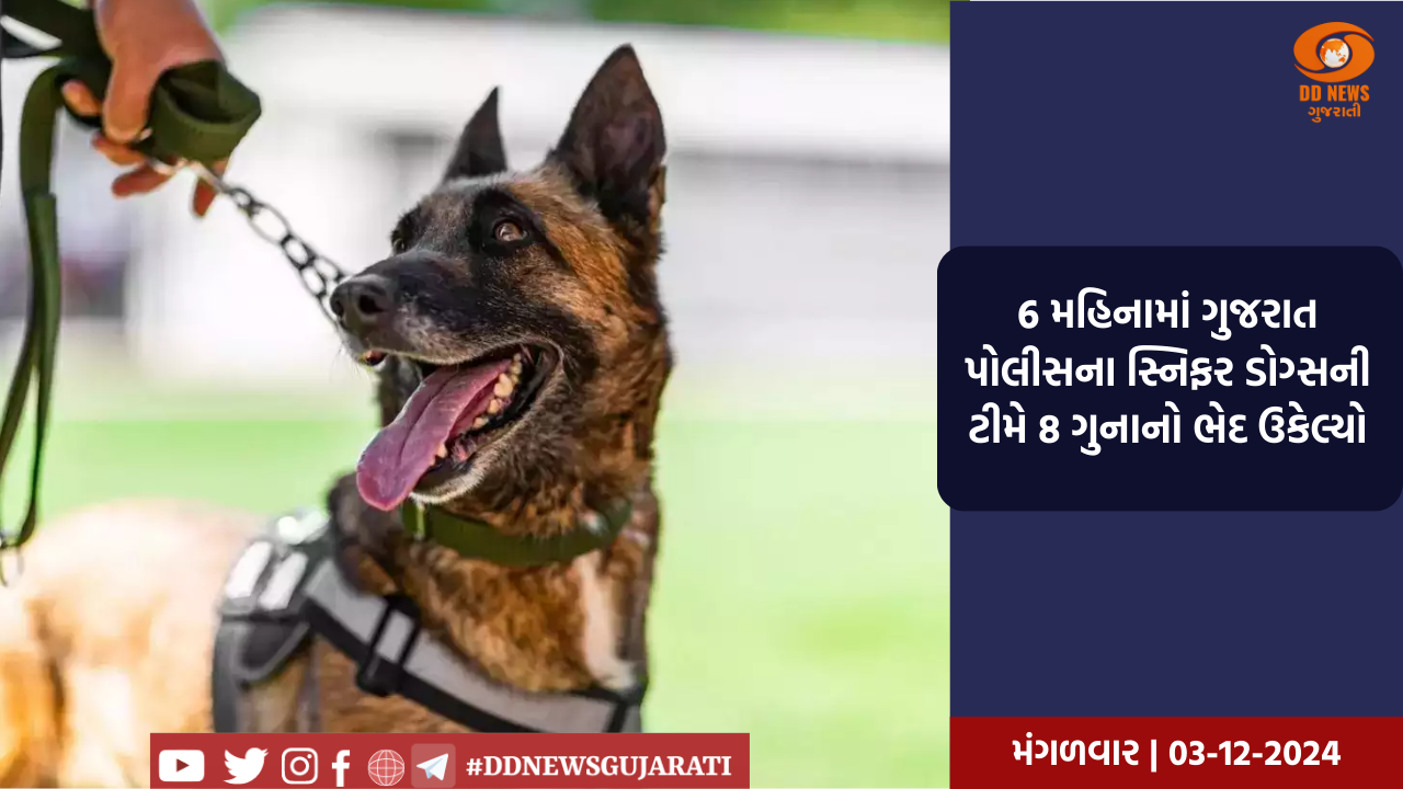 6 મહિનામાં ગુજરાત પોલીસના સ્નિફર ડોગ્સની ટીમે 8 ગુનાનો ભેદ ઉકેલ્યો