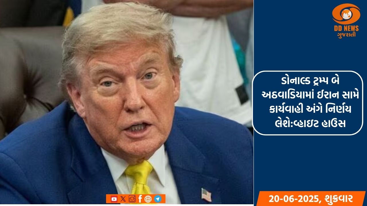 બાઇડન અને હેરિસનું ઉશ્કેરણીજનક ભાષણ મારા પર થયેલા હુમલા માટે જવાબદાર:ટ્રમ્પ