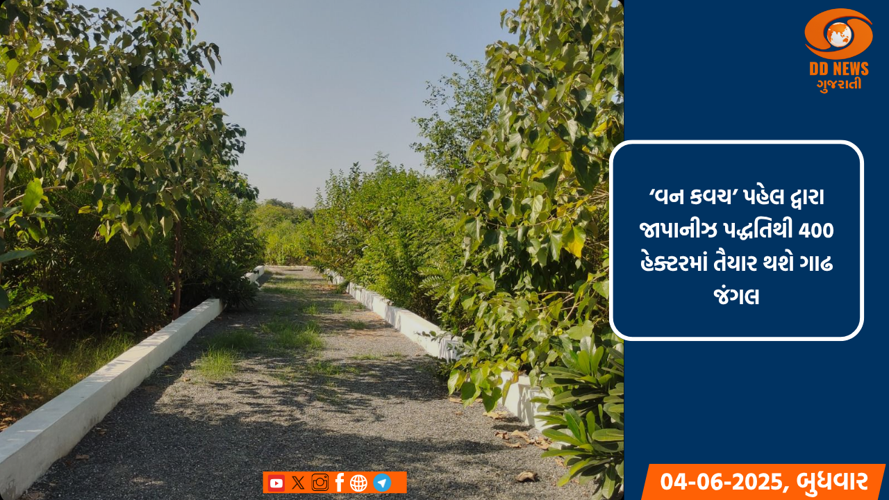 5 જૂન, વિશ્વ પર્યાવરણ દિવસ, ‘વન કવચ’ પહેલ દ્વારા પર્યાવરણ સુરક્ષામાં અગ્રેસર બન્યું ગુજરાત