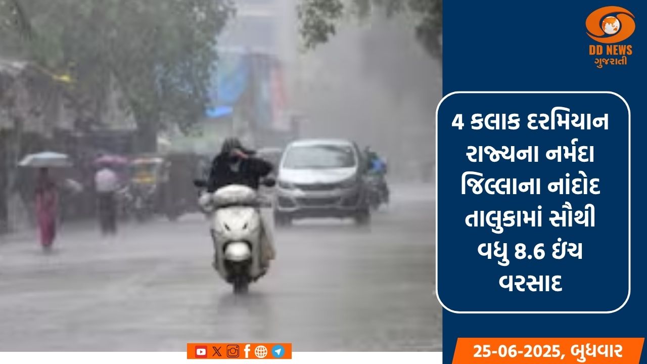 રાજ્યમાં ગત 24 કલાક દરમિયાન 26 જિલ્લાના 142 તાલુકાઓમાં વરસાદ